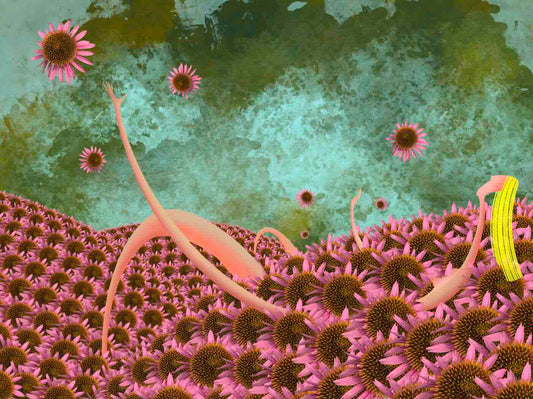 Tisk 18x24 - Hojnost