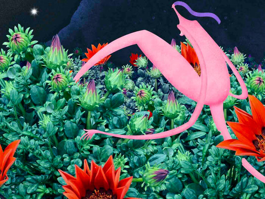 Tisk 18x24 - Volání