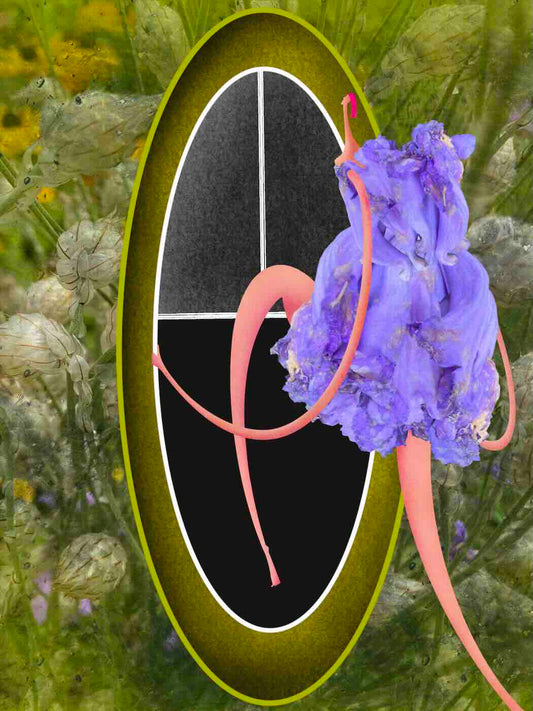 Tisk 18x24 - Objevování