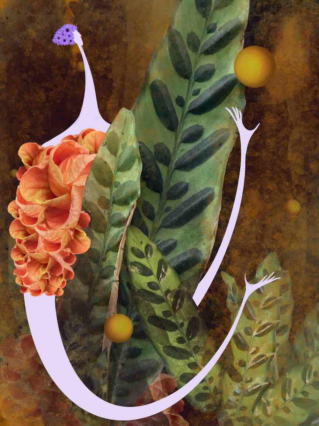 Tisk 18x24 - Intuice