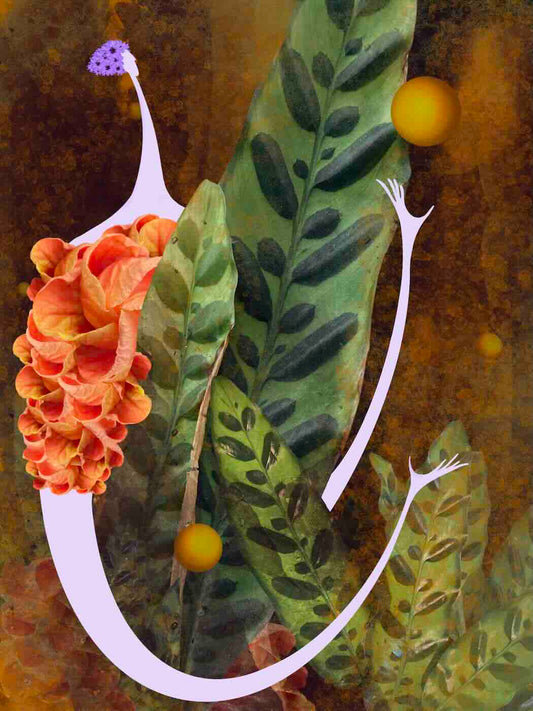 Tisk 18x24 - Intuice