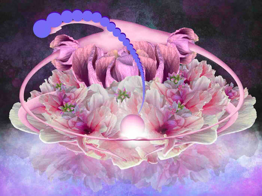 Tisk 18x24 - Manifestace