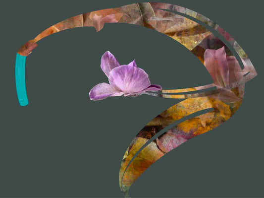 Tisk 18x24 - Znovuzrození